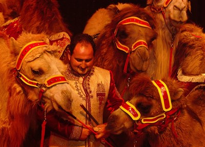 Photo 1 de Cirque Nicolas Zavatta Douchet dans Voyage en orient | Trappes
