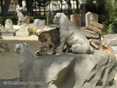 Photo 1 de Visite guidée : Le Cimetière des animaux à Asnières, un dépaysement d'émotions complet | par Lora