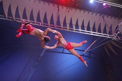 Photo 3 de Cirque Nicolas Zavatta dans Imagine | Chartres