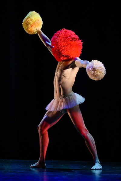 Photo 3 de Tutu