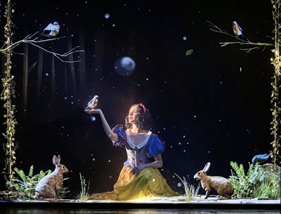 Photo 2 de Blanche Neige et les sept nains