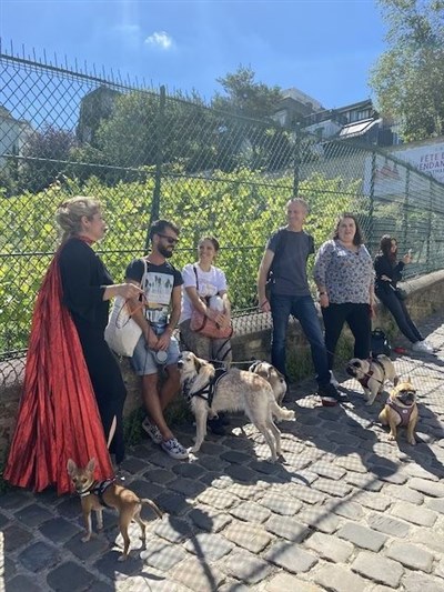 ToutouTours à Montmartre Enchanté une pause lyrique aux vignes 