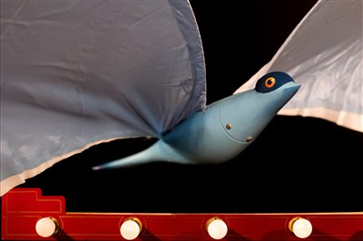 Photo 1 de Le bel oiseau