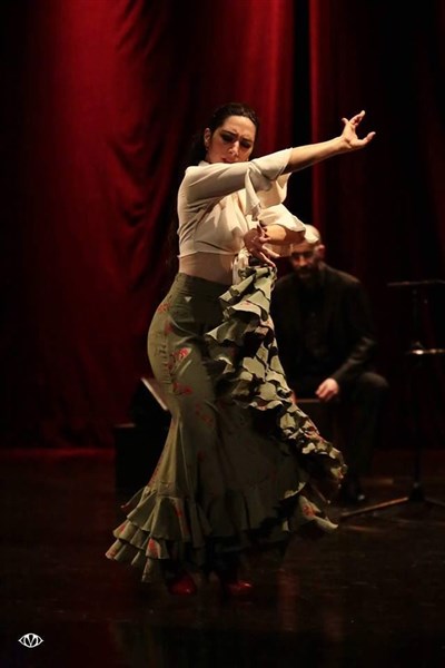 Photo 2 de Romanès Cirque Tzigane : Spectacle pour la Pâque Tzigane