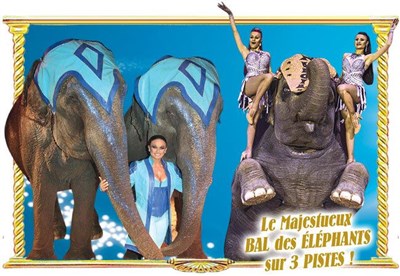 LA MAJESTUEUX BAL DES ÉLÉPHANTS - GRAND CIRQUE DE NOËL AMERICAIN - JEAN ARNAUD CIRCUS PROMOTION
