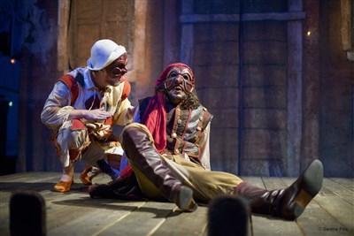 Photo 3 de Arlequin furieux