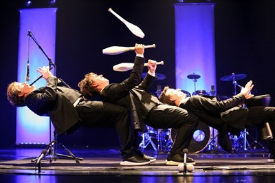 Photo 3 de Drum Brothers par Les Frères Colle