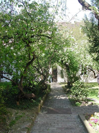 Photo 1 de Visite guidée: La bohême à Montmartre et visite du cimetière Saint-Vincent | par Ariane