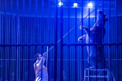 Photo 1 de Cirque Sébastien Zavatta | Argenteuil