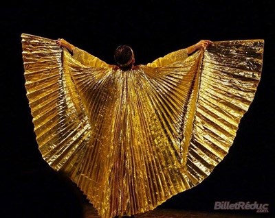 Photo 1 de La Nuit des Rois, ou ce que que vous voudrez