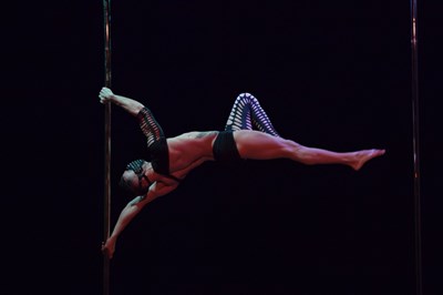 Photo 3 de Championnat interrégional de pole dance Nord Est