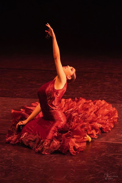 Photo 3 de Rose d'Espagne