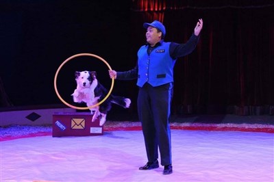Photo 2 de Cirque Holiday dans Le Festival International du Cirque | - Villeneuve d'Ascq