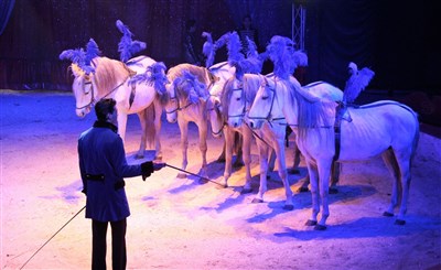 Photo 2 de Cirque Sébastien Zavatta | - Morangis
