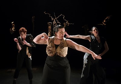 Photo 2 de Cabaret des arbres