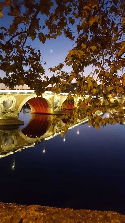 Toulouse enchantée by night