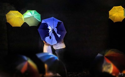 Photo 3 de Un petit coin de parapluie