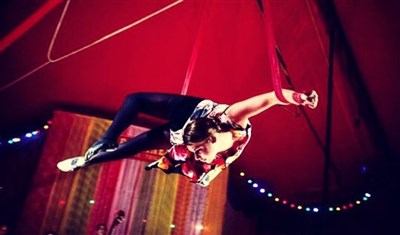 Photo 3 de Cirque Rose Bouglione : Tzigane au féminin