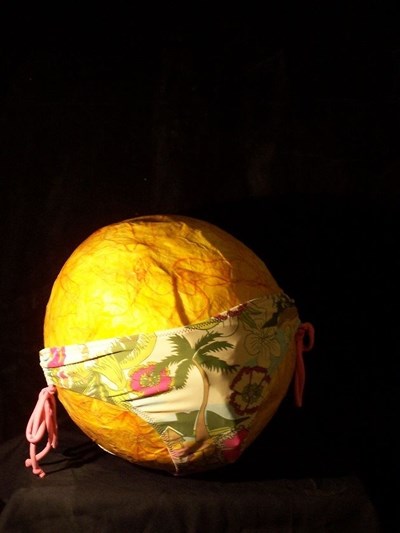 Photo 1 de Le grand voyage de Madame Lune