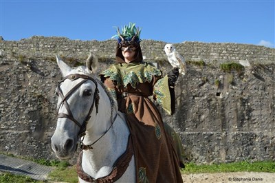 Les Aigles des Remparts
