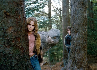 Photo 4 de Ciné-concert : Harry Potter et le Prisonnier d'Azkaban | Lyon