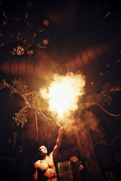 Photo 3 de Arbre | par le Cirque Théâtre Bormann