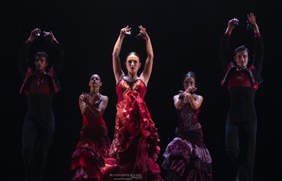 Alma iberica 2 