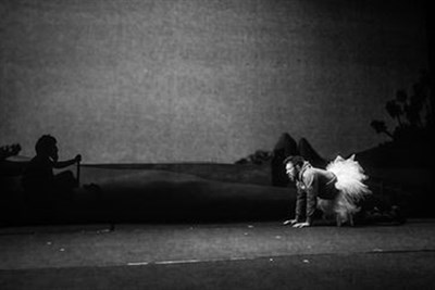 Photo 2 de L'odysee d'Hippo, l'aventure continue
