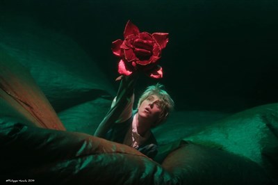Photo 2 de Le Petit Prince