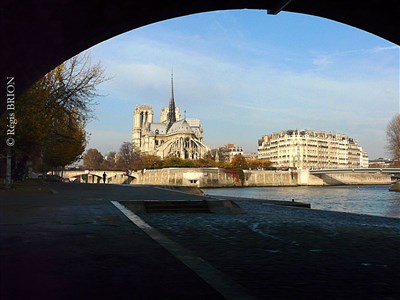 Photo 1 de Journée Internationale des guides: Visite guidée de l'Île de la Cité - visite bilingue en français - russe
