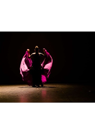 Photo 2 de Lydie Tison dans Comme un oiseau