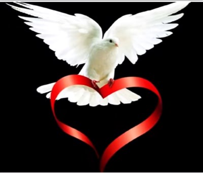 Photo 1 de Tendre Retour