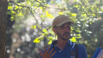 Photo 1 de Visite guidée : L'histoire des arbres à Paris | par Frédéric Pennel