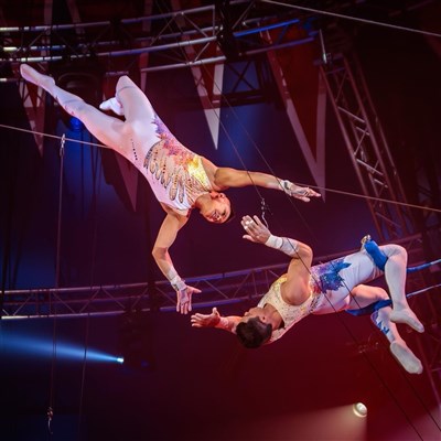 Photo 1 de Cirque Nicolas Zavatta Douchet dans Imagine - Vertou