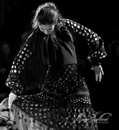 Photo 2 de Amor del flamenco