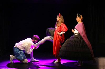 Photo 2 de L'incroyable épopée de François 1er