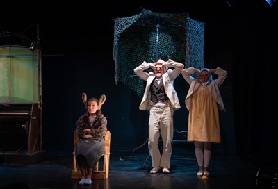Photo 1 de Les contes du chat perché