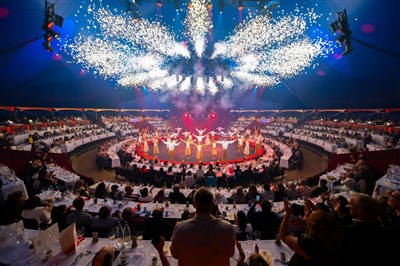 Photo 4 de Dîner-spectacle sous le chapiteau Arlette Gruss à Lille