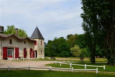 Photo 1 de Des Saltimbanques et des Chevaux 3ème Edition