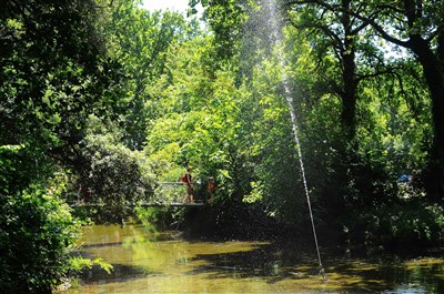 Photo 2 de Parc Alexis Gruss 2017