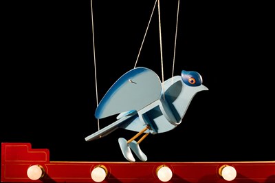Photo 3 de Le bel oiseau
