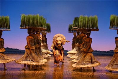 Photo 2 de Le Roi Lion