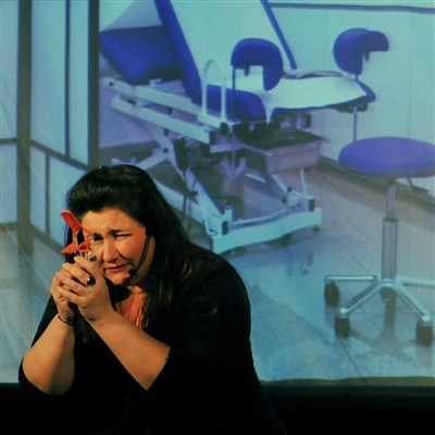 Photo 1 de Stéphanie Agrain dans C'est Vulvissime