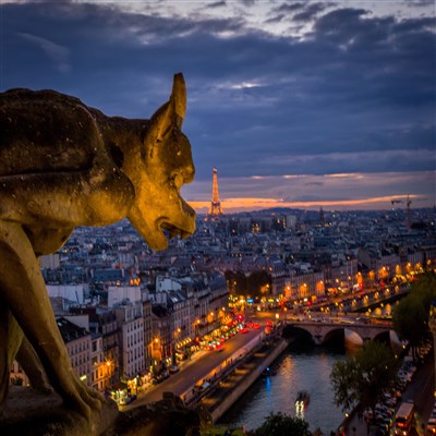 Photo 1 de Visite guidée : Notre-Dame de Paris | par Calliopée - art-culture