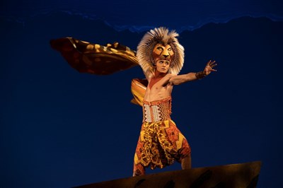 Photo 9 de Le Roi Lion