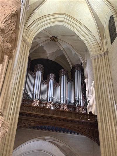 Photo 1 de Visite guidée de Notre-Dame de Paris