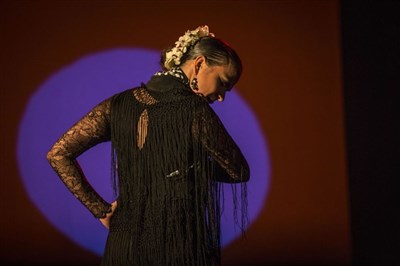 Photo 1 de Raíz Flamenca