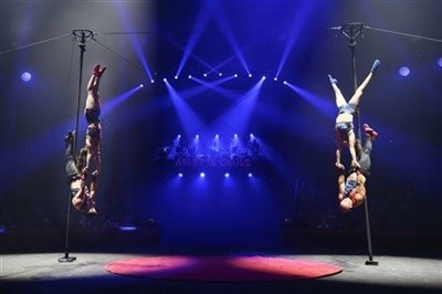 Photo 4 de Cirque Arlette Gruss dans Bêtes de Cirque | - Thionville