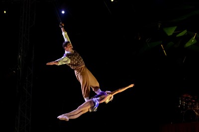 Photo 4 de Compagnie Alexis Gruss dans Les Folies Gruss