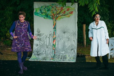 Photo 4 de La symphonie des Arbres